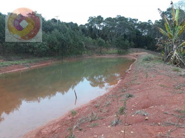 Chácara à venda, 23000 m² por R$ 180.000 - Palmerinha - Campina Grande do Sul/PR - Foto 19