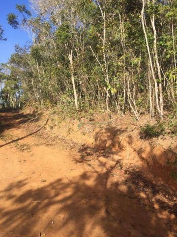 Terreno PLANO residencial à venda, Vargem Grande, Teresópolis. - Foto 5