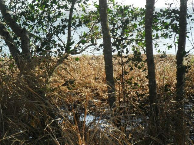 COD-122: Terreno em Porto da Roça - Saquarema - Foto 3