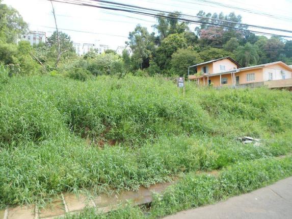 Terreno residencial à venda, rondônia, novo hamburgo. - Foto 6
