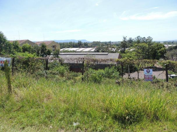 Terreno residencial à venda, canudos, novo hamburgo - te0412. - Foto 2