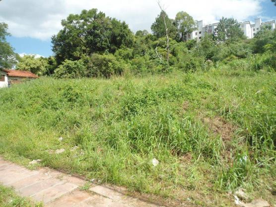 Terreno residencial à venda, rondônia, novo hamburgo. - Foto 4