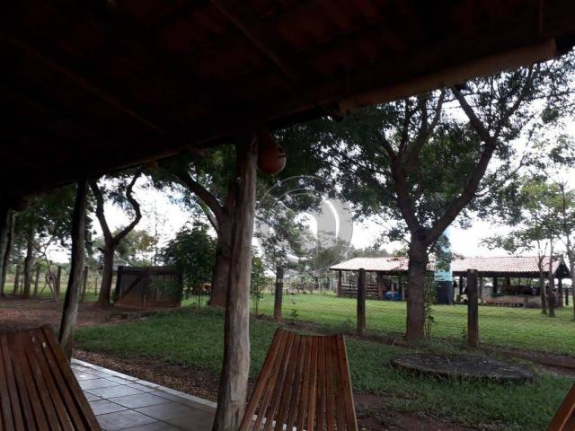 Fazenda 104 ha poconé mt - Foto 5