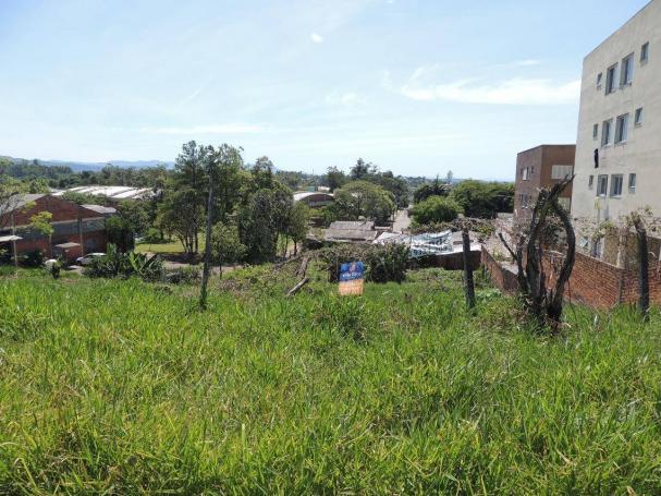 Terreno comercial à venda, canudos, novo hamburgo - te0413. - Foto 3