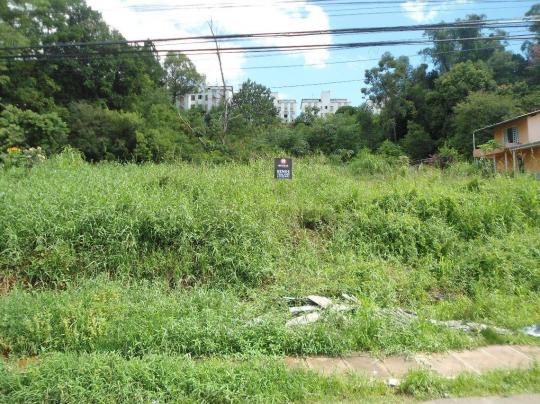 Terreno residencial à venda, rondônia, novo hamburgo. - Foto 5