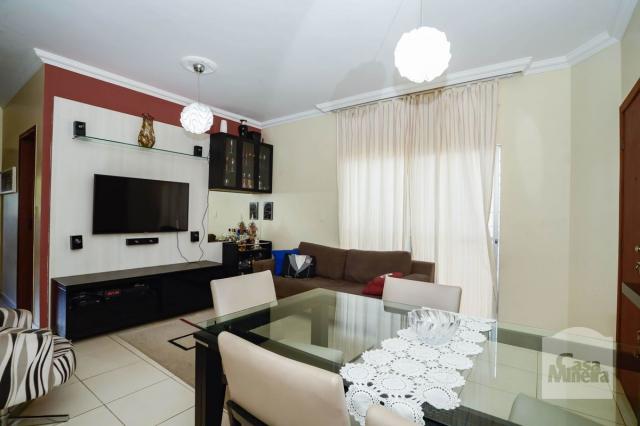Apartamento à venda com 3 dormitórios em Alto caiçaras, Belo horizonte cod:255939 - Foto 3