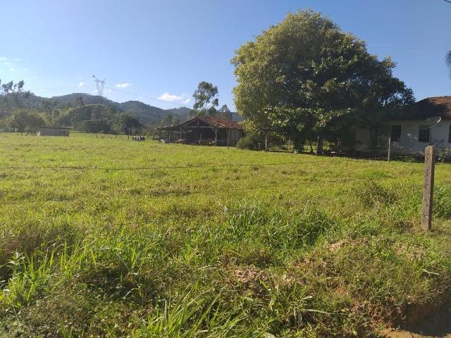 Sítio a venda em Canelinha SC!!! - Foto 2