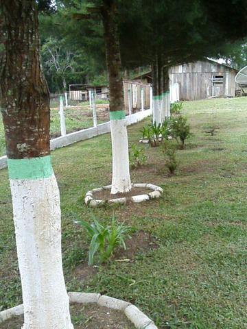 Chacara troco p terreno ou imóvel em Curitiba ou litoral praias - Foto 13