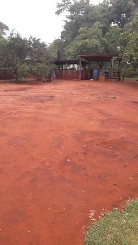 80 Alq. Pra Cana Boa De Água Bem Montada Quirinópolis GO - Foto 10