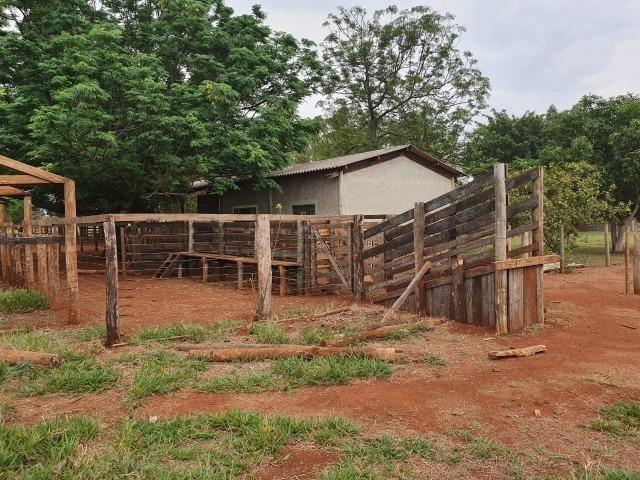 Chácara 08 hectares -próximo de C.Grande -Preço de 1.200.000 por 890.000 - Foto 18