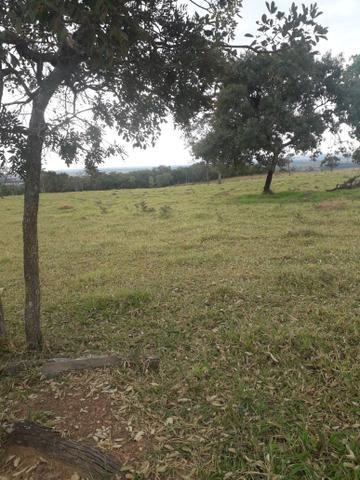 Chácara 30 min de Goiânia - Foto 4