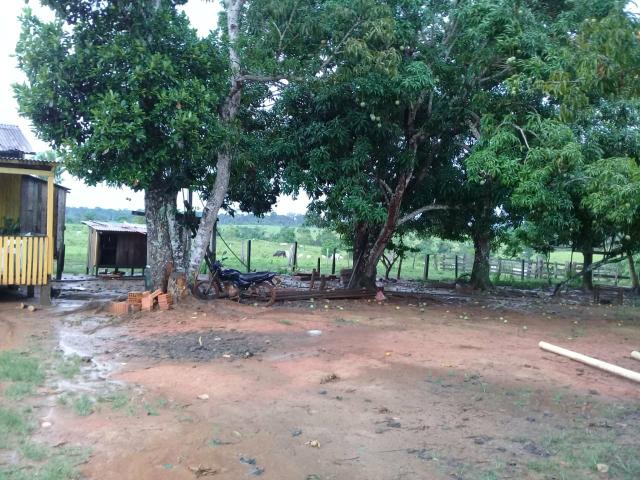 Vende-se fazenda - Foto 3