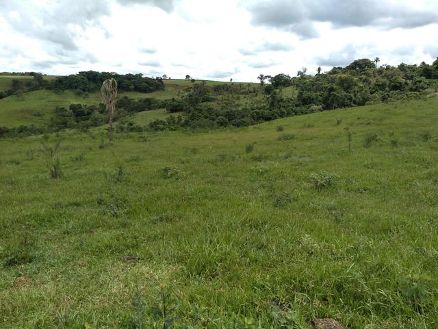 Sitio para gado e plantio de café - Foto 2
