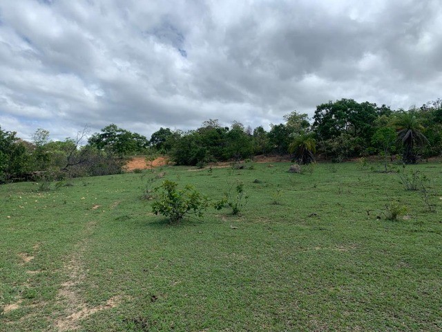 Chácaras de 20.000m² com nascente, Jaboticatubas(Temos varias opções). - Foto 2