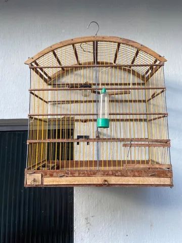 Gaiola - Foto 2