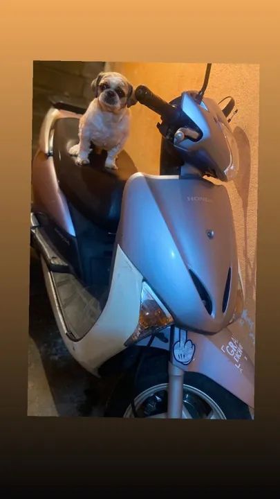 Vendo ou troco  Honda lead 110