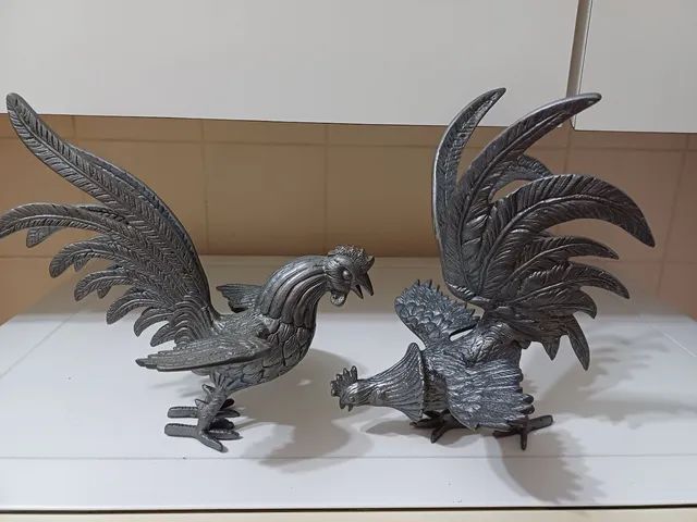 Galos de briga  - Foto 3