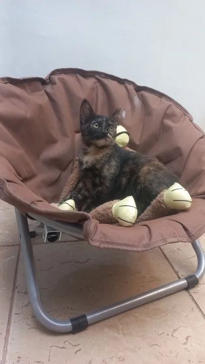 Doação responsável