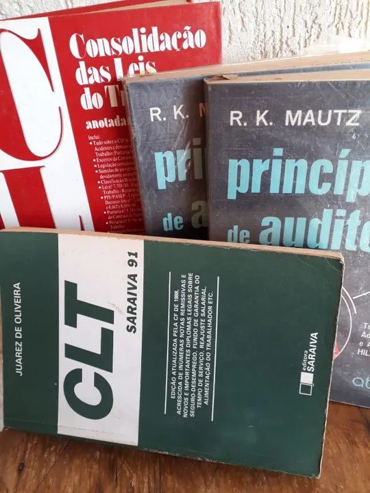 CLT e Principios de Auditoria - Foto 3