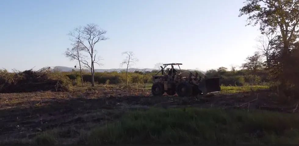 Sítio com 41.2 hectares Escriturado! Ótima oportunidade de investimento perto da cidade! - Foto 4