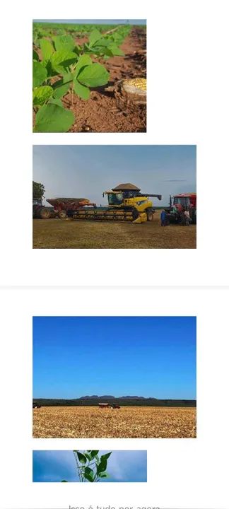 Fazenda 3.598 hect em campos lindos do Tocantins  157 milhões. - Foto 2
