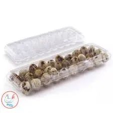 embalagem para ovos de codorna