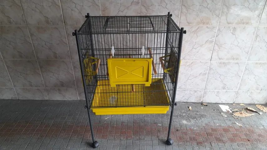 Viveiro para pássaros64314061197569120