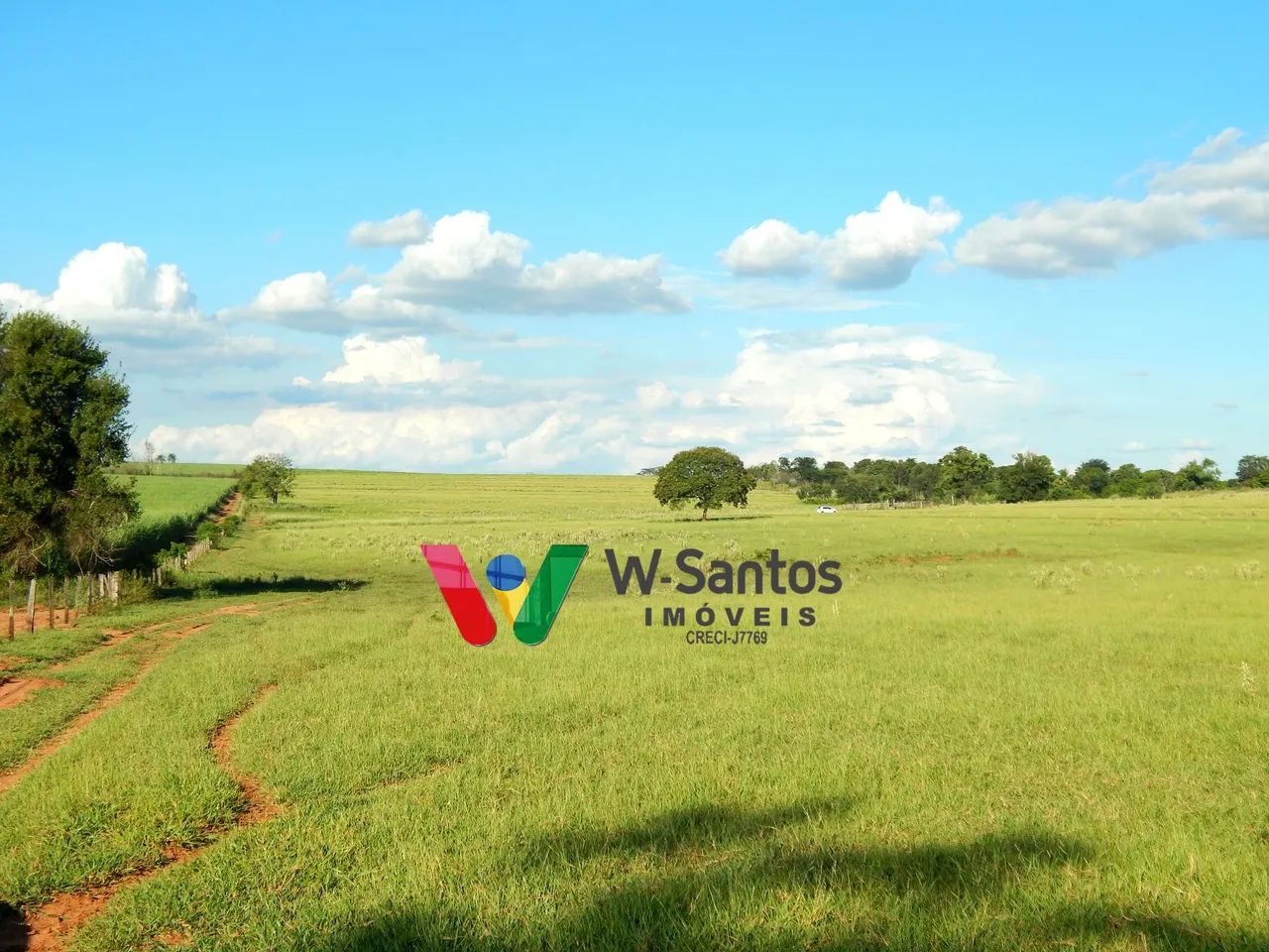 SÍTIO DE 20 ALQUEIRES PRÓXIMO LOANDA E PORTO RICO - Foto 4