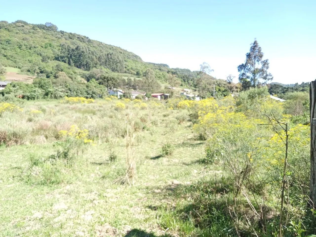 Sítio de 2 hectares em Gramado  - Foto 3