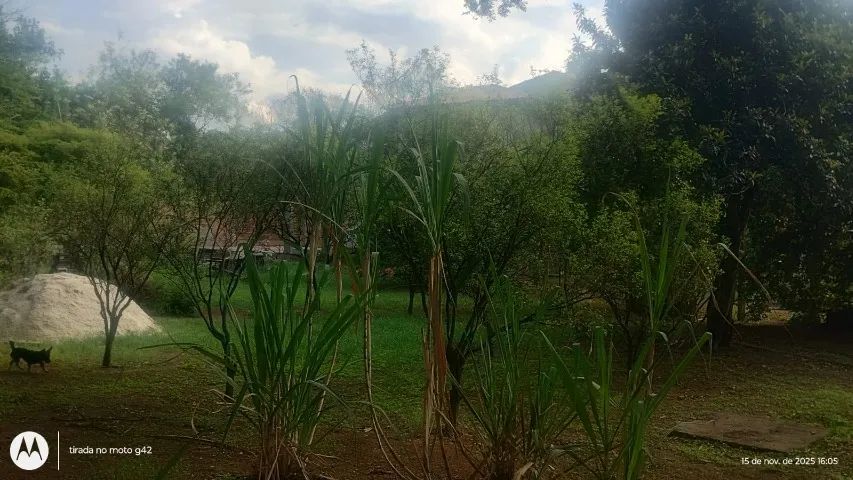 Sítio troca por caminhão e carro - Foto 4