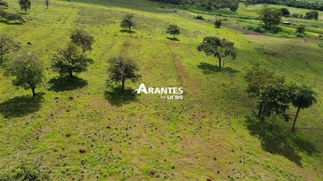 Fazenda com 4,5alq. à venda no Área Rural de Uberlândia - Foto 2
