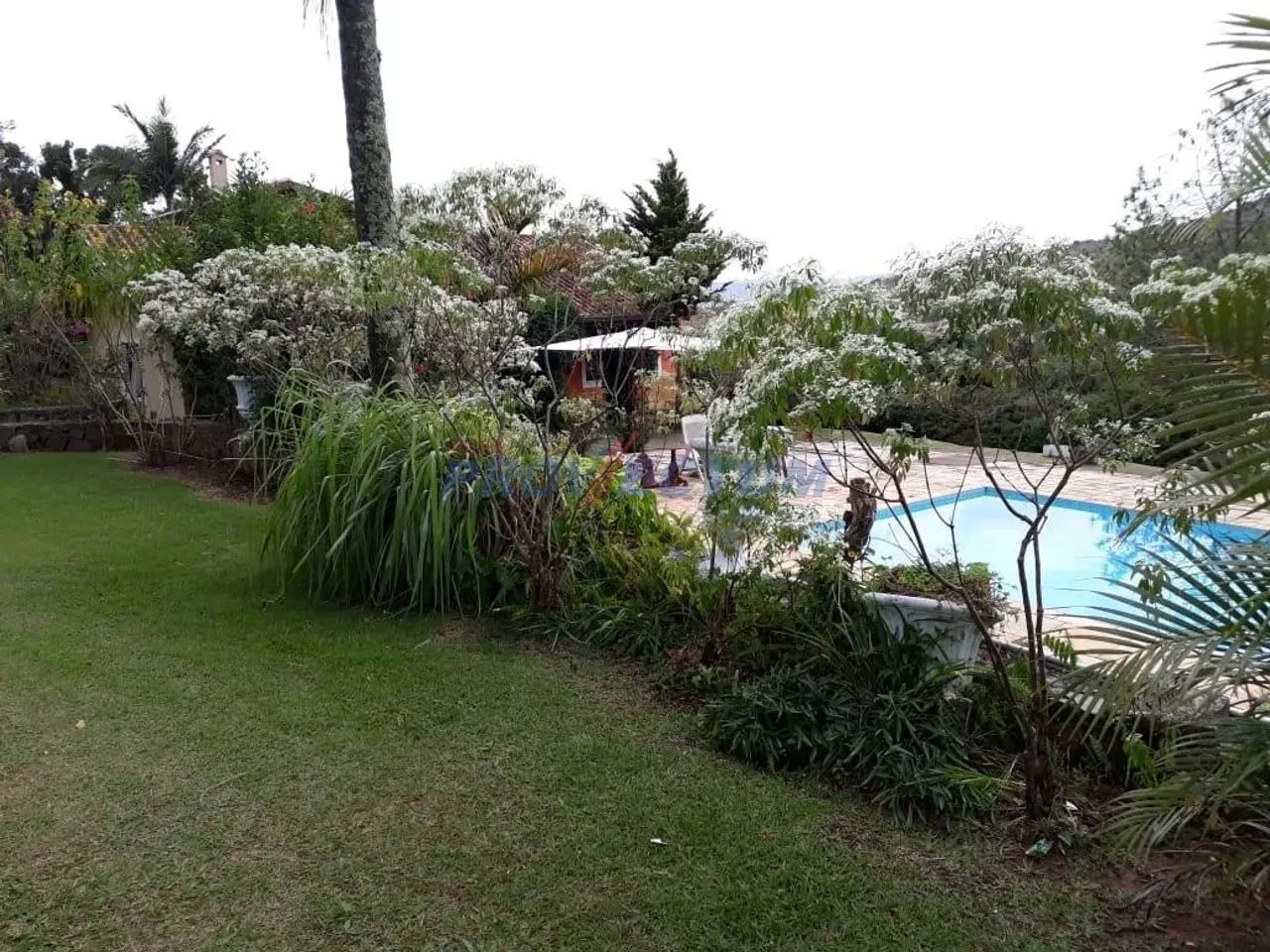 chácara - Parque Nova Suíça - Valinhos - Foto 4