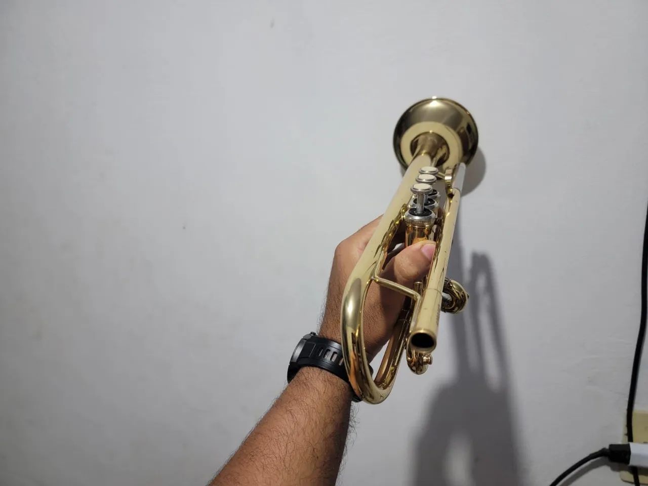 Trompete eagle - Foto 3