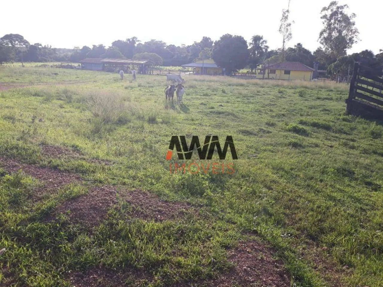 Fazenda à venda,  m² por R$ 28.000.000,00 - Zona Rural - Duerê/TO