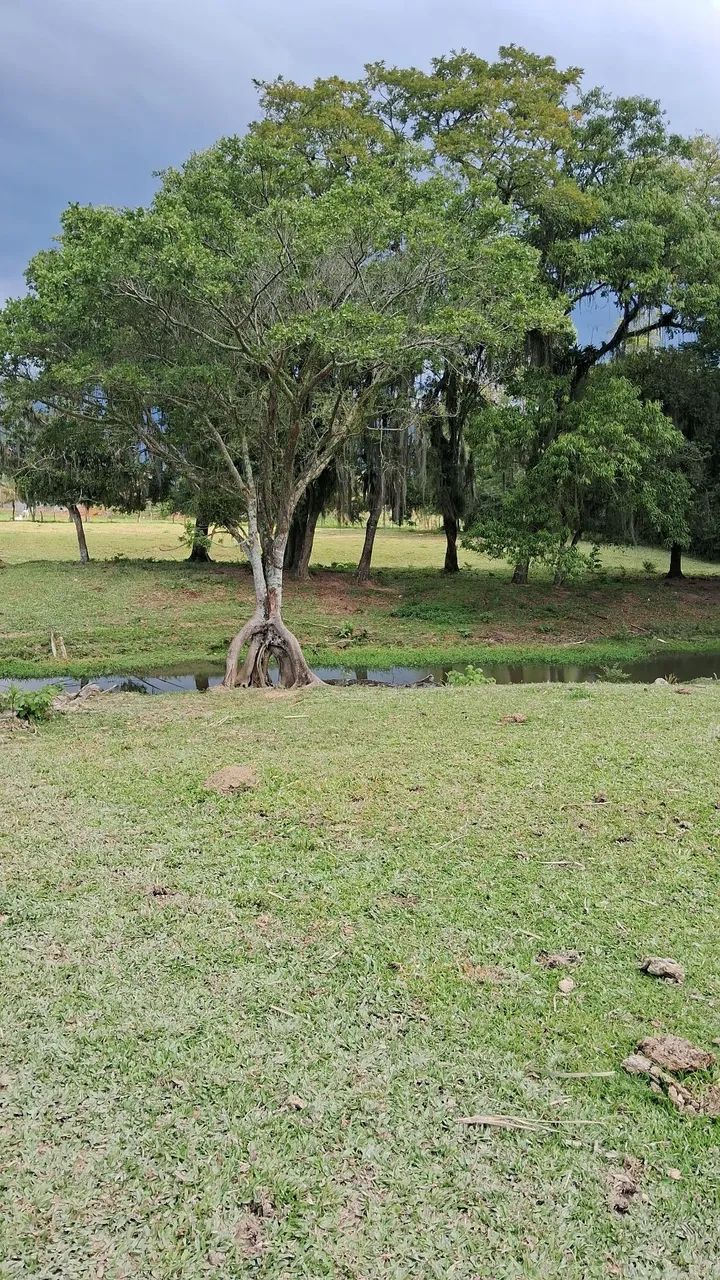 Oportunidade de terreno com 7.5 hectares em Santo Amaro da Imperatriz-SC  - Foto 12