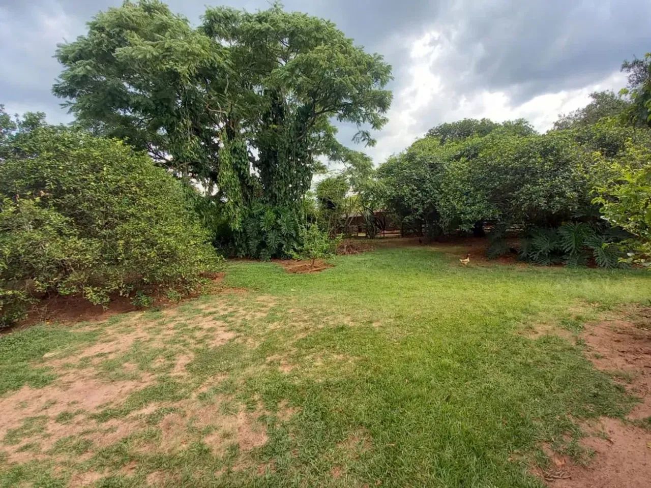 Chácara a venda em São Pedro bairro Chacara ABC. REF: CH0009 - Foto 5