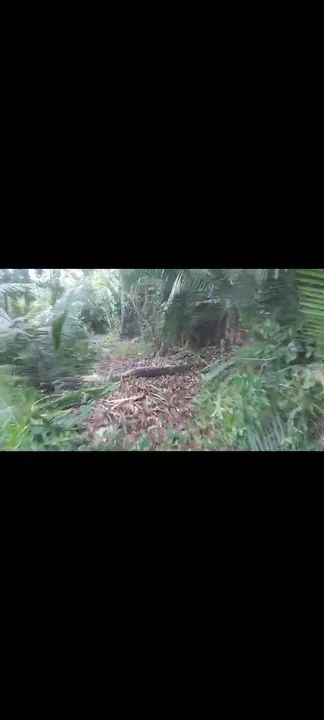 Vende ou Troca Terreno Praia do Pindobal PA  - Foto 4