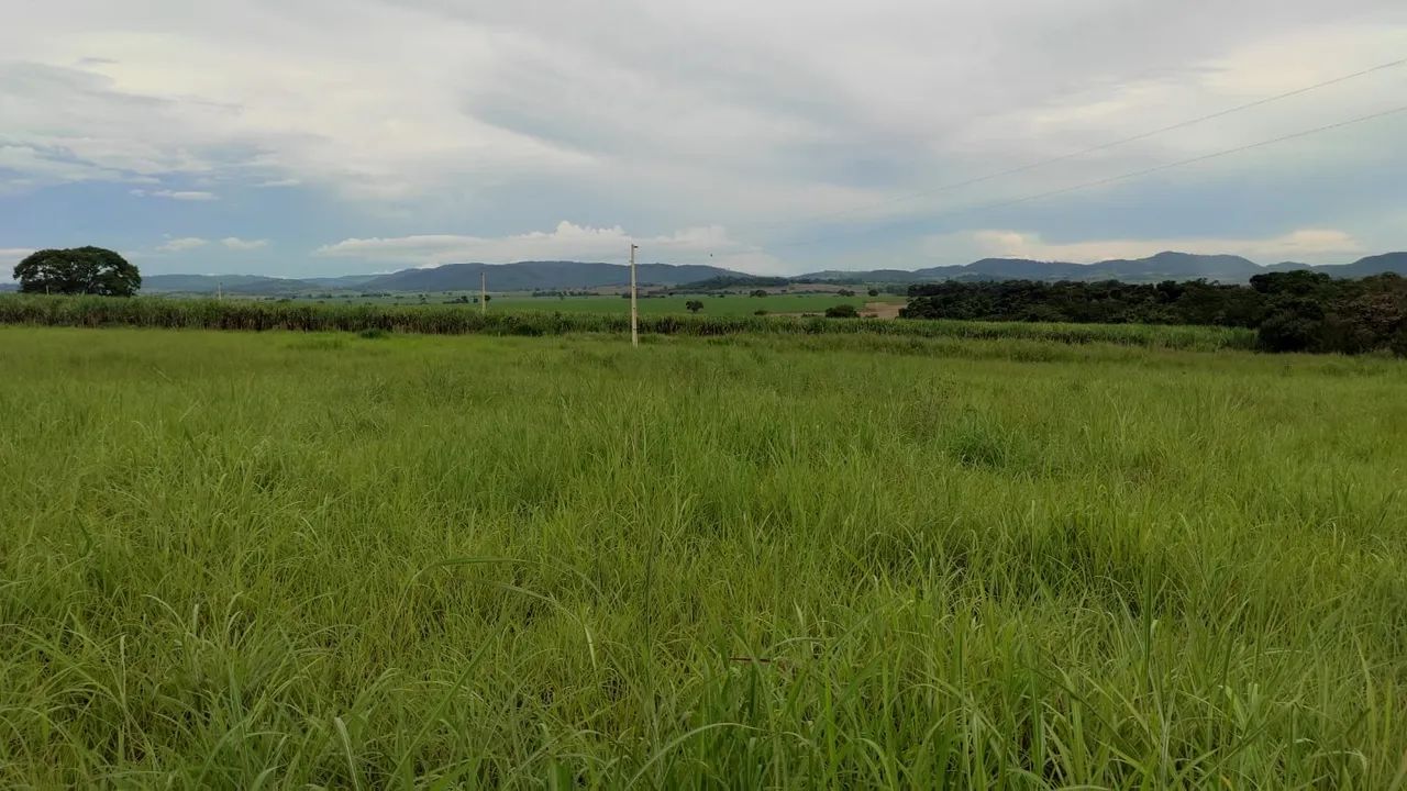 Sitio de 8 alq em Itapuranga-GO - Foto 3