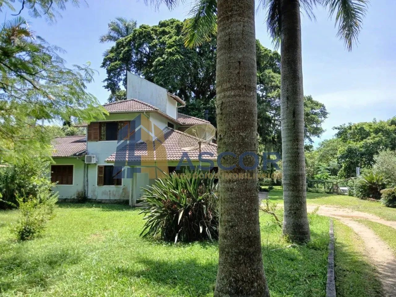 Lindo Sitio próximo ao trevo de Jurerê - Foto 3