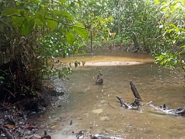 Oportunidade pertinho da praia! 3 Hectares em Cumuruxatiba - Vendo ou Troco