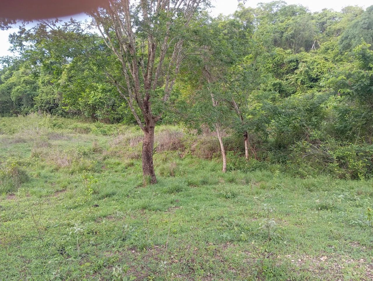 Chacara Rio Vermelho  - Foto 4