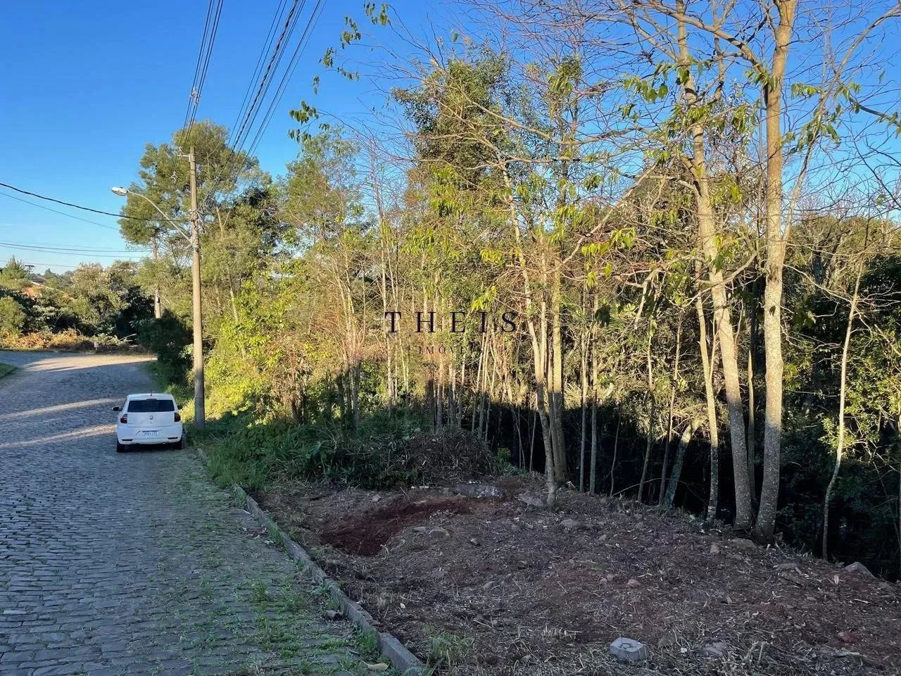 Terreno à venda no bairro São Luiz - Foto 2
