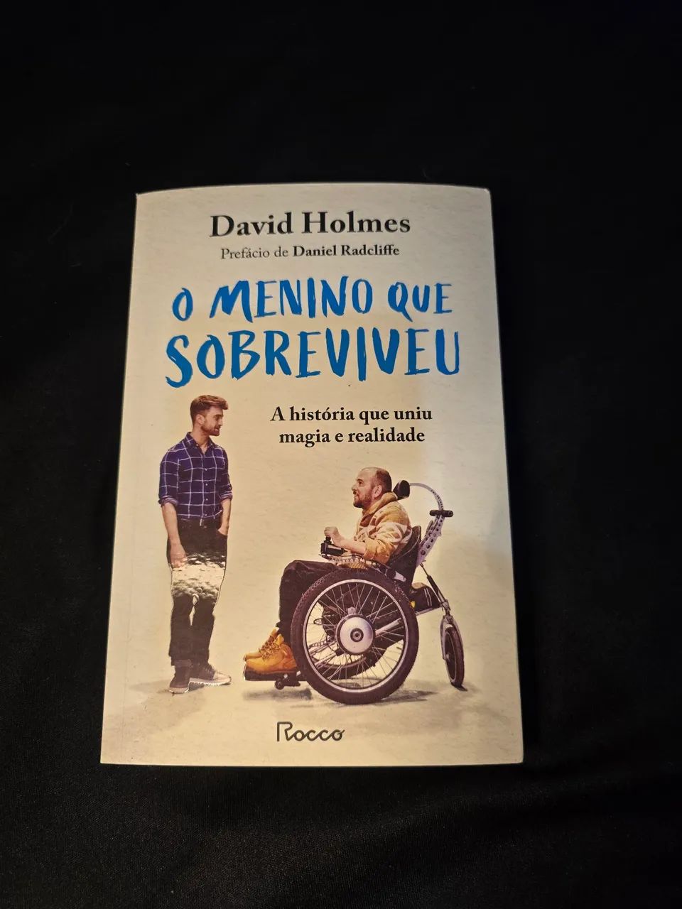 Livro O Menino Que Sobreviveu