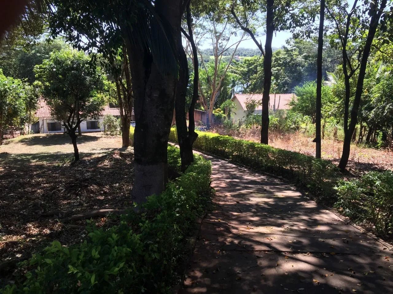 Rancho em Ibitinga  - Foto 5