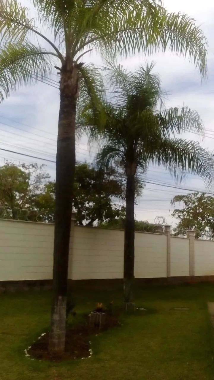 Negócio apartamento em lagoa santa  - Foto 4