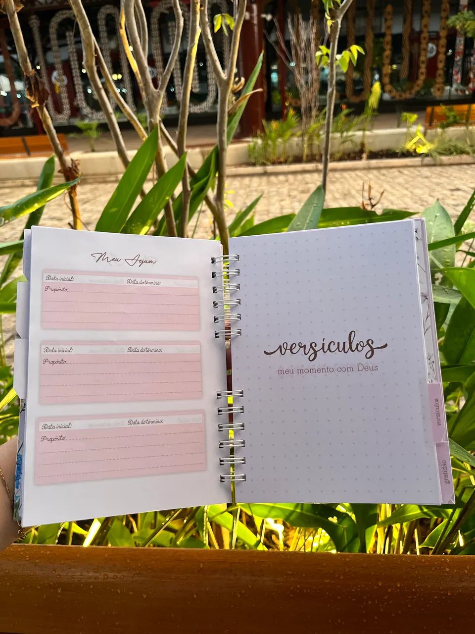 Devocional personalizado  - Foto 3