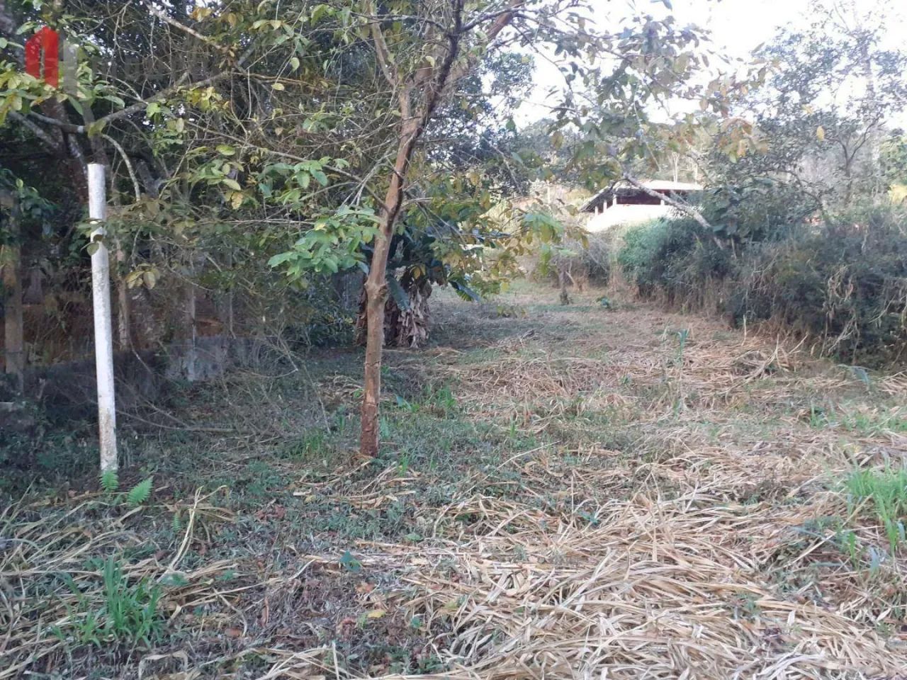 Terreno a venda - Foto 5