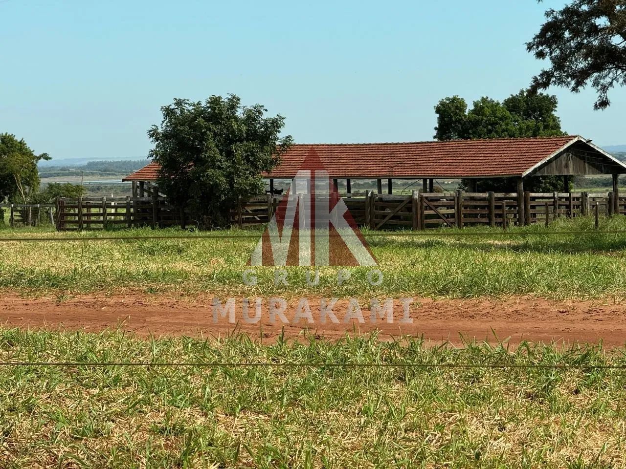 FAZENDA - QUERÊNCIA DO NORTE