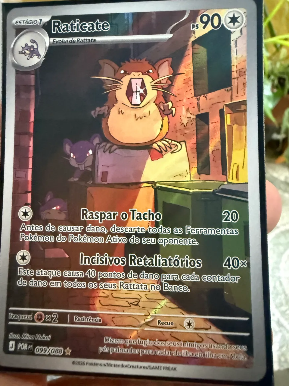 Meowth EX Gold 107/88 - NM - Inglês - Hobbies e coleções - Vila