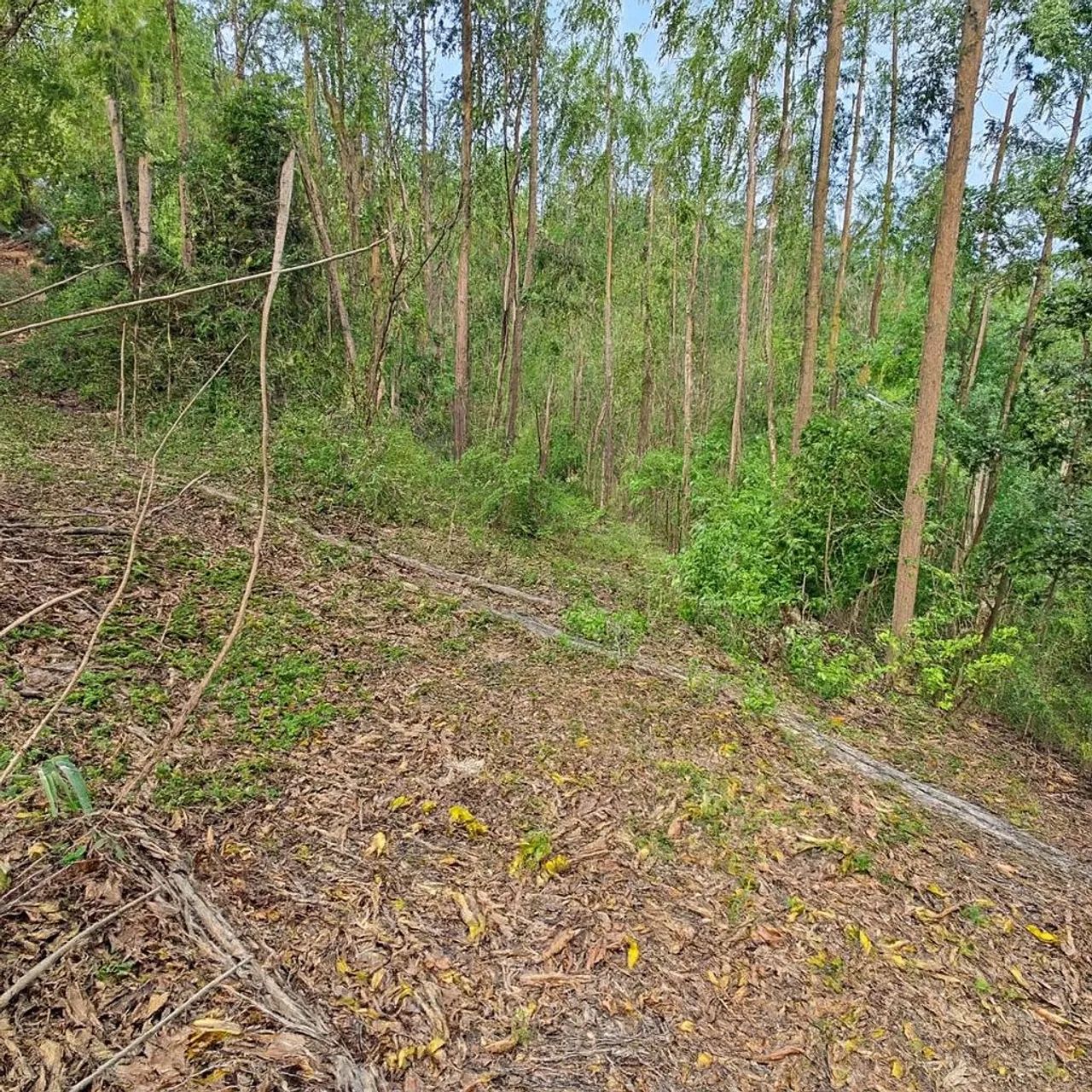 Sitios vista, entre1.500m² e 5.100m², Parcelamento a combinar, PEGO VEICULOS, TROCO  - Foto 5
